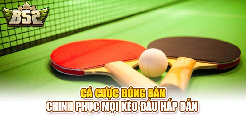 Cá Cược Bóng Bàn – Chinh Phục Mọi Kèo Đấu Hấp Dẫn 