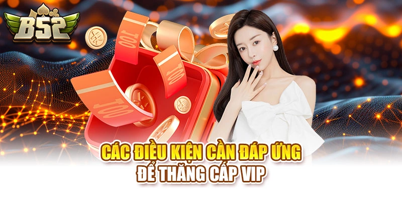 Các điều kiện cần đáp ứng để thăng cấp VIP