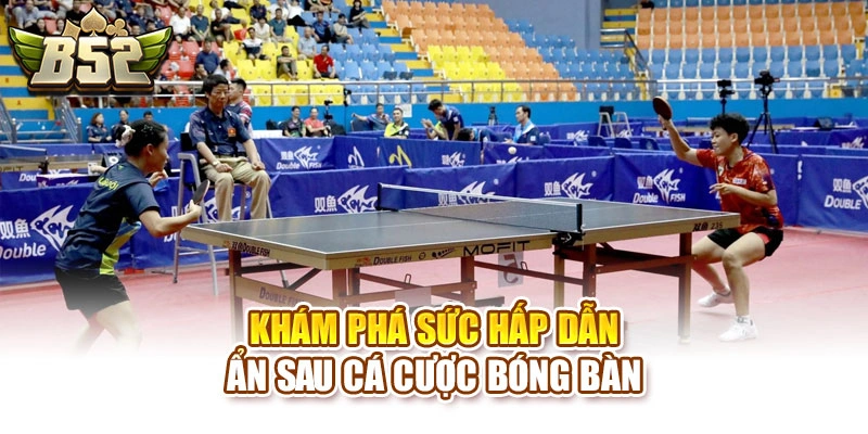 Khám phá sức hấp dẫn ẩn sau cá cược bóng bàn 