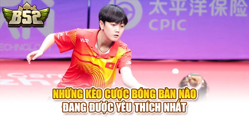 Những kèo cược bóng bàn nào đang được yêu thích nhất